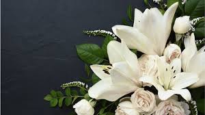 Dennis Michael Stevenson, Funeral, Tribute Obituary: 36, of Bellefonte, Dies At Geisinger Medical Center-GoFundMe